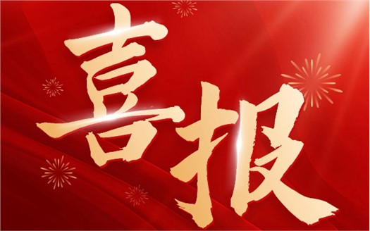 集团荣膺2025中国民营企业500强第249位，制造业民营企业500强第177位，排名较去年双双大幅提升