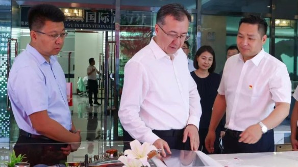 新疆维吾尔自治区领导伊力扎提·艾合买提江莅临DB官方网站温泉城视察指导